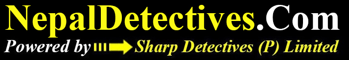 nepal detectives logo